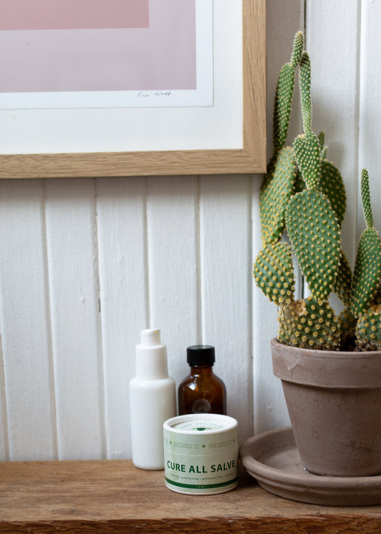 Cure All Salve on shelf with apothecary bottles and cactus