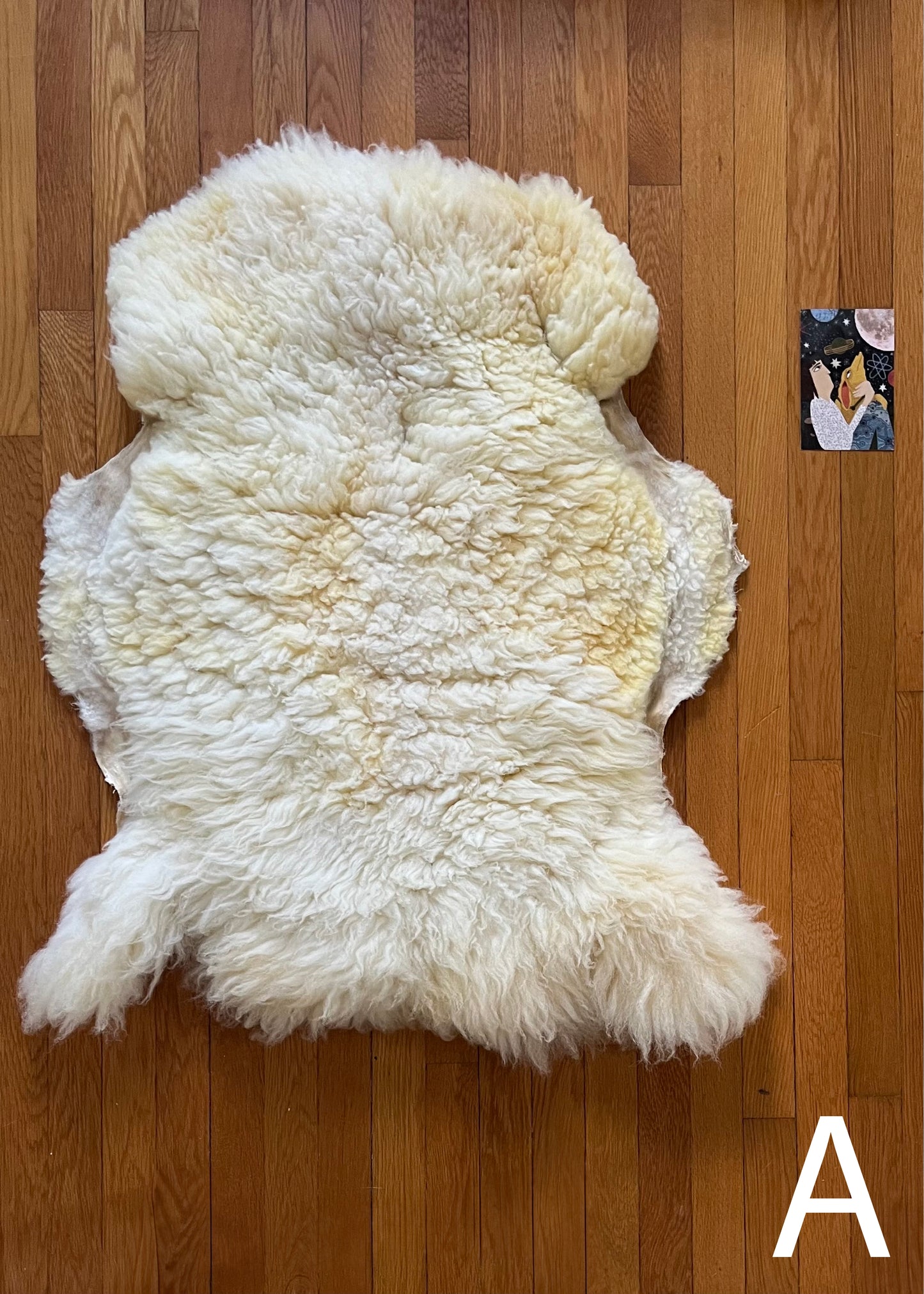 Sheepskin: A