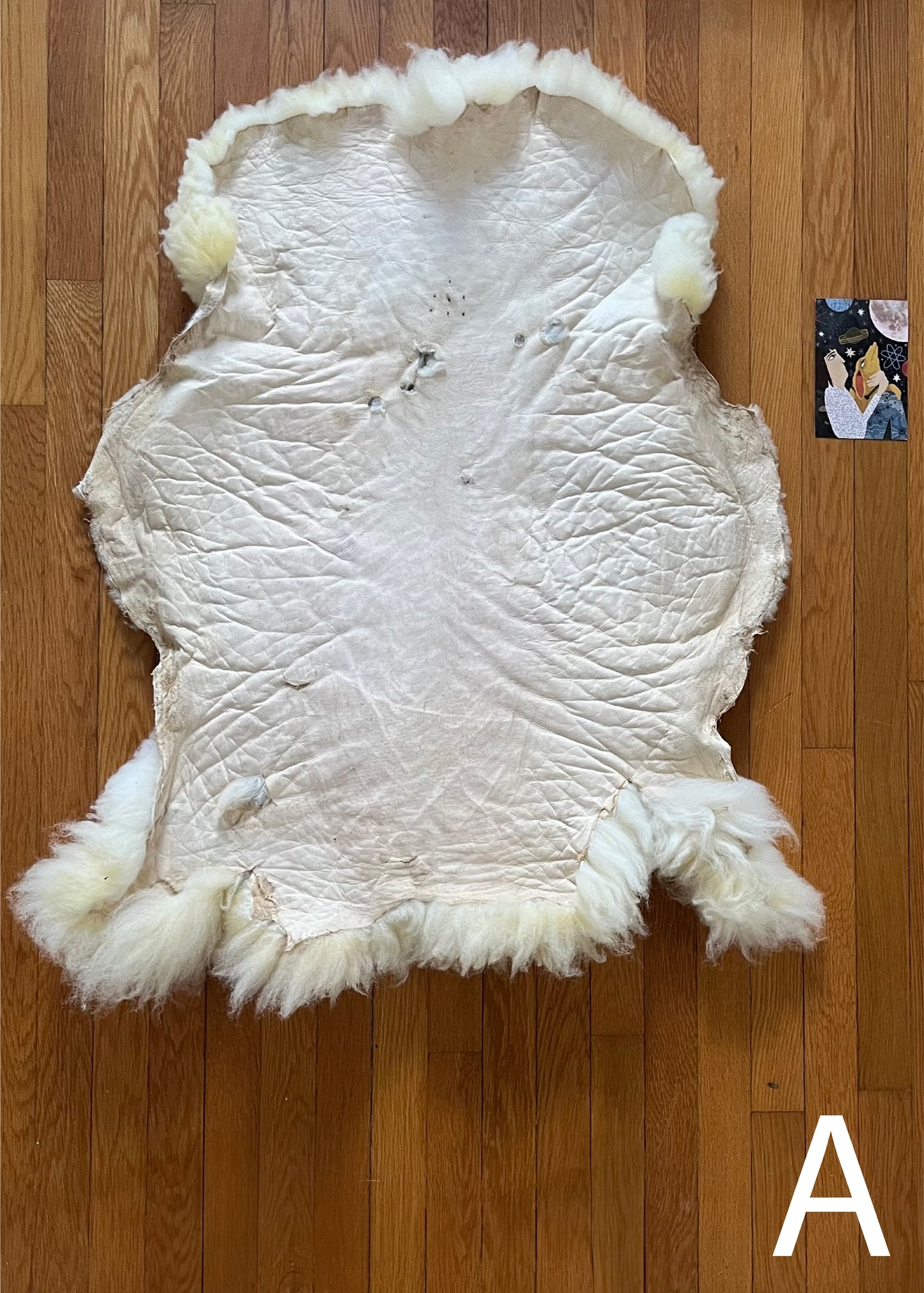 Sheepskin: A