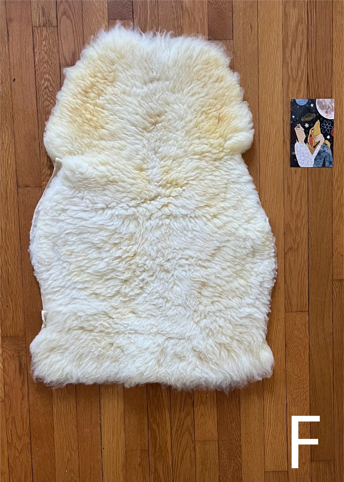 Sheepskins: F